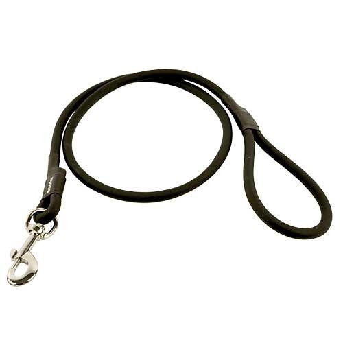 Correa para Perros de Poliuretano