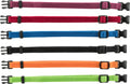 Junior Set de Collar Cachorros