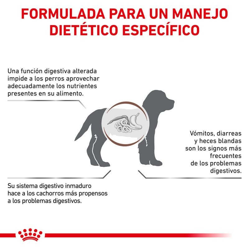 Royal Canin Puppy Veterinary Gastrointestinal pienso para perros