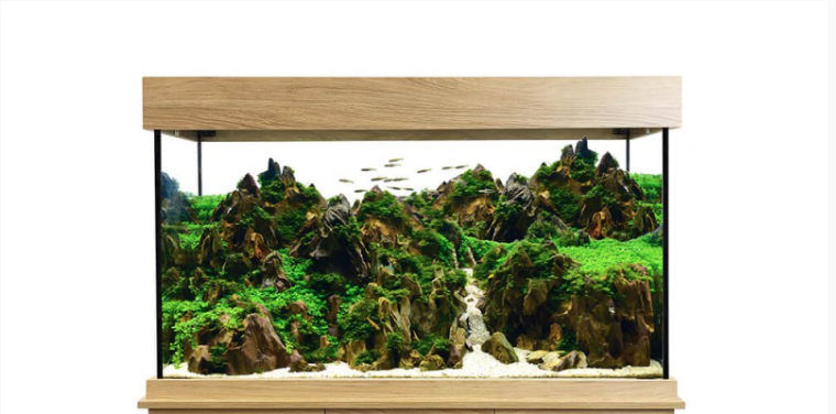 Set Fluval Shaker Acuario 252 l + Mesa
