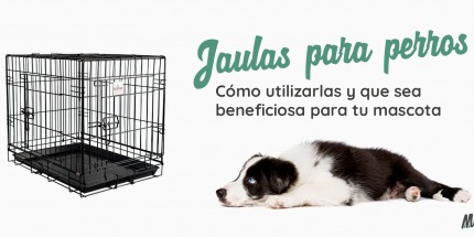Cómo utilizar una jaula para perros y que sea beneficiosa para tu mascota